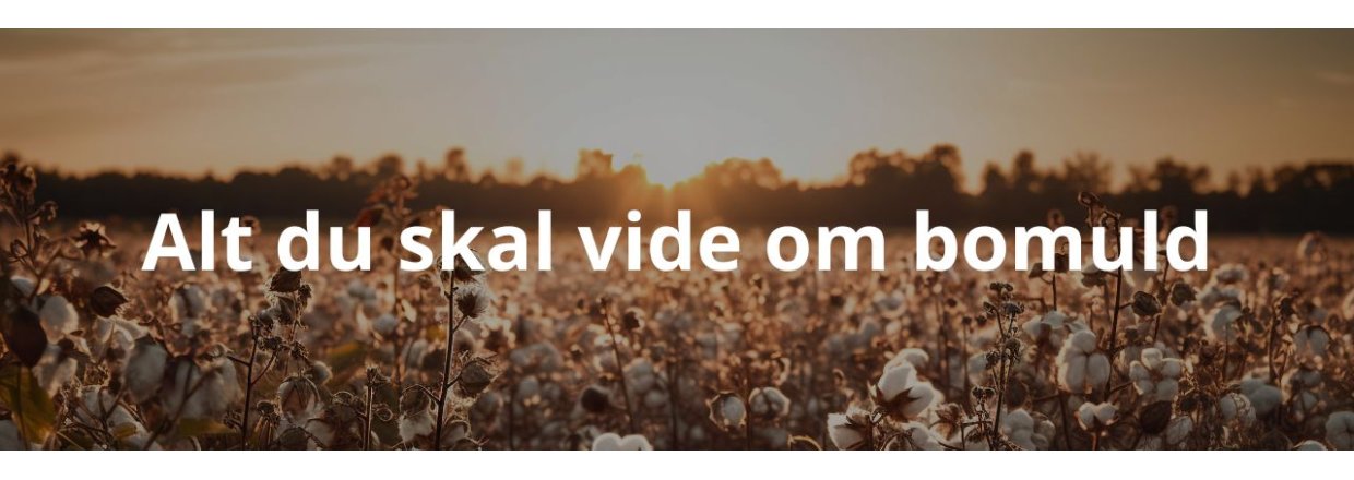 Alt du skal vide om bomuld