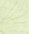 9011 Tender green