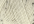0326 Ivory