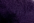 107 Urban Violet - NY