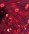 4370 Berry Glow - NY