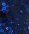 5840 Blue Moon Dazzle - NY