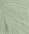 8521 Dusty Light Green - NY!