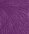 5045 Plum - NY