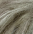 144 Natureng - NY