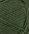 8571 Dark Forest Green - NY