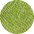 50 Lime
