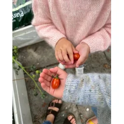 Monday Sweater Junior - strikkeopskrift fra PetiteKnit