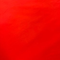 Papertouch poplin poppy rd pr. 0,24 m.