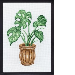 Broderi (billede) med Monstera plante 