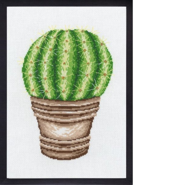 Broderi (billede) med rund kaktus 