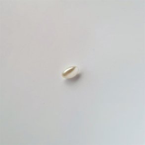 Perlemorsagtig oval plastknap p� 11 mm