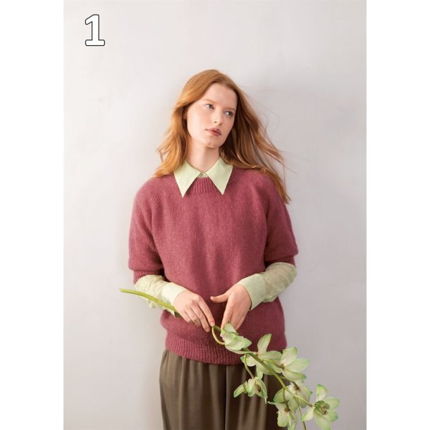 Sandnes strikkehfte 2102 - Mykt til dame / Bldt til dame