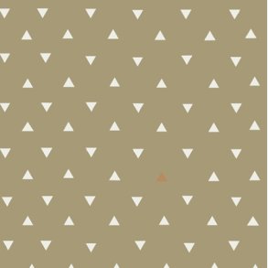 Triangle Tokens Home fra AGF - pr. 0,25 meter